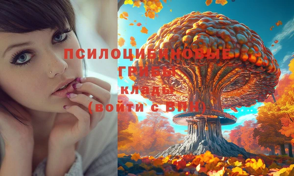 кокаин VHQ Гусь-Хрустальный